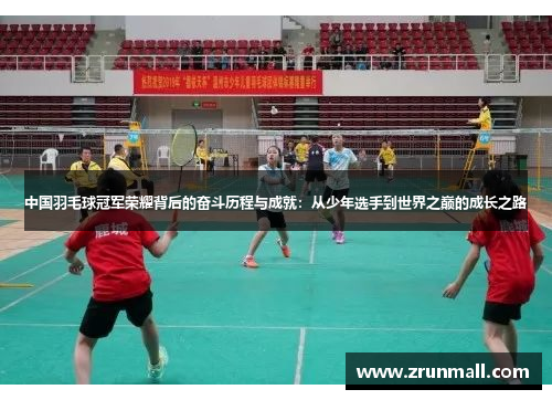 中国羽毛球冠军荣耀背后的奋斗历程与成就：从少年选手到世界之巅的成长之路
